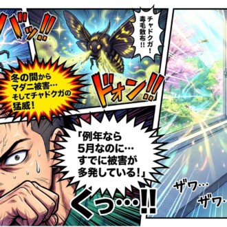 虫刺されが多いなぁ