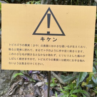 触れてはいけない