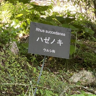 触れてはいけない